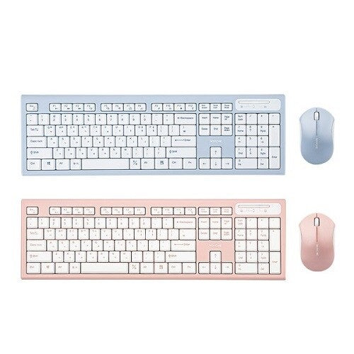 Royche  Wireless Ultra Slim Keyboard and Rounding Fancy Mouse Combo