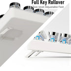 EWEADN 100% RGB MECHANICAL KEYBOARD