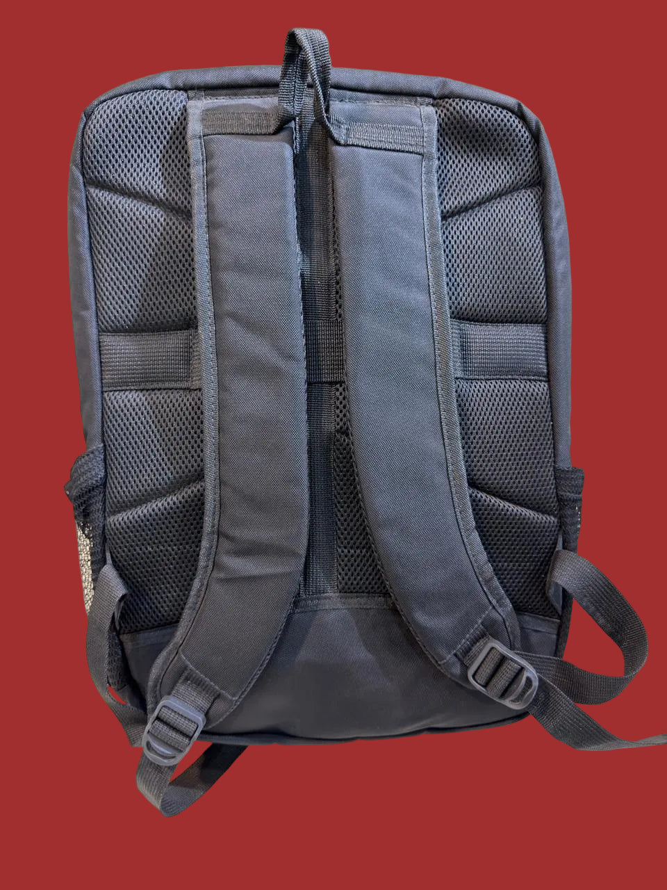 SWISSEWIN 15.6 INCH LAPTOP BACKPACK
